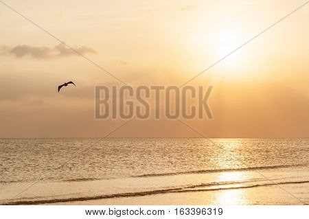 Sunset on pristine sandy beach of Fort Meyers, Florida
