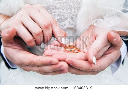 gold rings lie in the hands newlywed