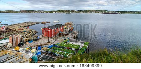 Red shed on a dock & garden boxes along Twillingate village shoreline.  View across the water to town along the road and shoreline in a small community in Newfoundland, Canada.