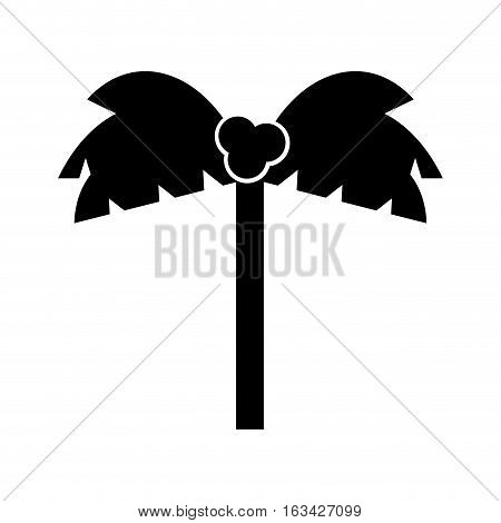 tree palm tropical icon vector illustration design