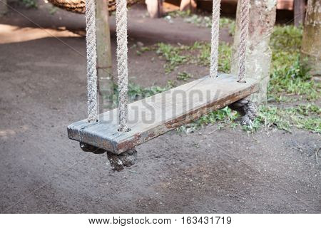 Old wood swing hanged on tree, stock photo