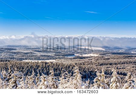 Landscape In Wintertime