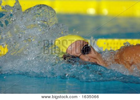 Kostenlose Schwimmer 