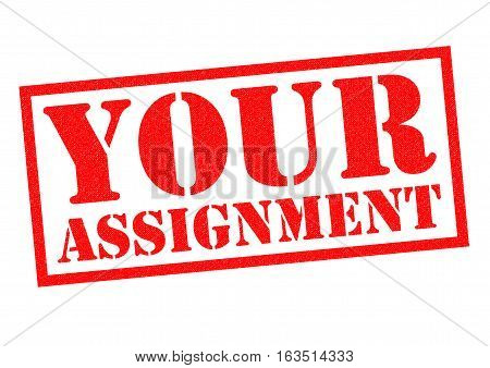 YOUR ASSIGNMENT red Rubber Stamp over a white background.