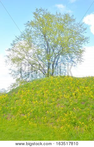 Spring landscape in park in the fortress of Lappeenranta Finland.