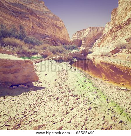 Canyon En Avedat of the Negev Desert in Israel Instagram Effect