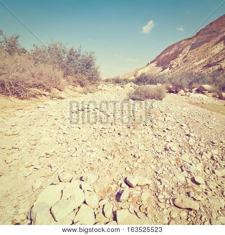 Canyon En Avedat of the Negev Desert in Israel Instagram Effect