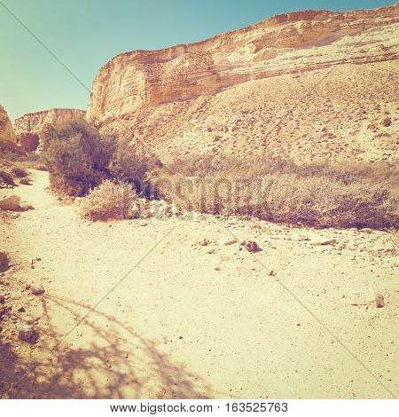 Canyon En Avedat of the Negev Desert in Israel Instagram Effect