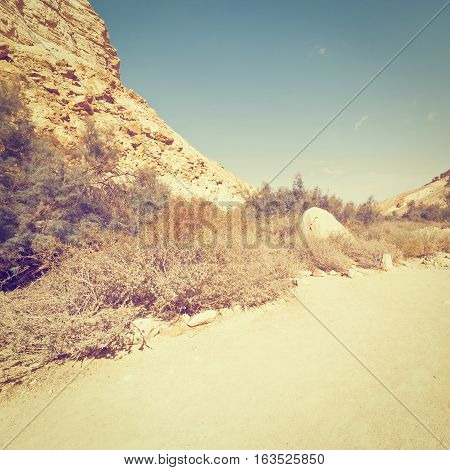Canyon En Avedat of the Negev Desert in Israel Instagram Effect