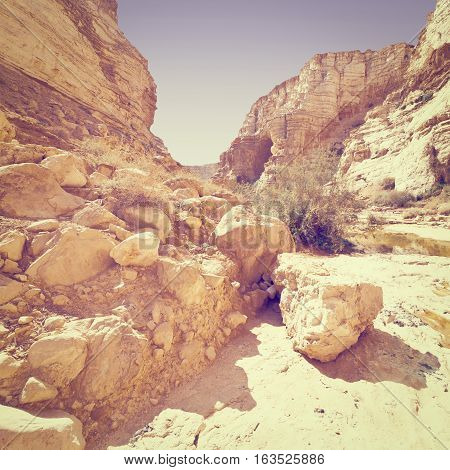 Canyon En Avedat of the Negev Desert in Israel Instagram Effect