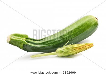 Cukini mit Blume, isolated on white