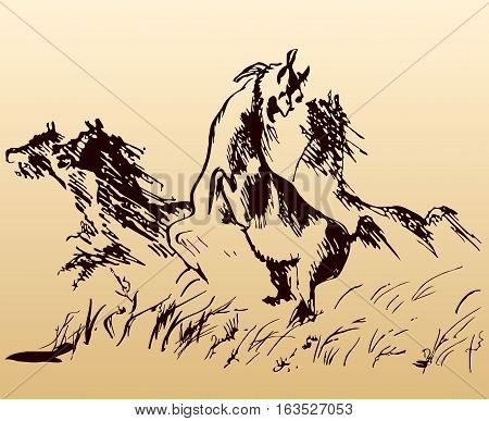 Black sketch of a wild herd of horses galloping in a field