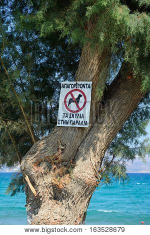 No dogs sign attached to a tree on the edge of the beach Kalyves Crete Greece Europe.