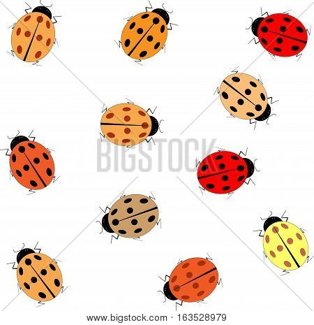 Ladybug card. Illustration ladybug on white background design element. Modern stylish abstract texture. Colorful template for prints textiles wrapping wallpaper website etc. Vector illustration