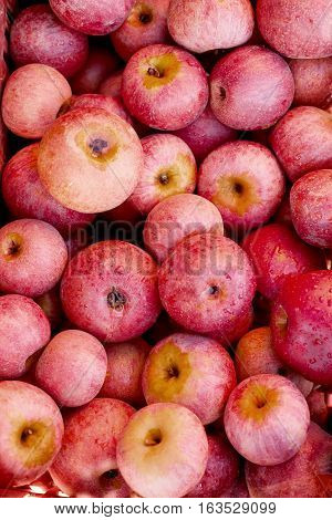 Italian Typical Apples