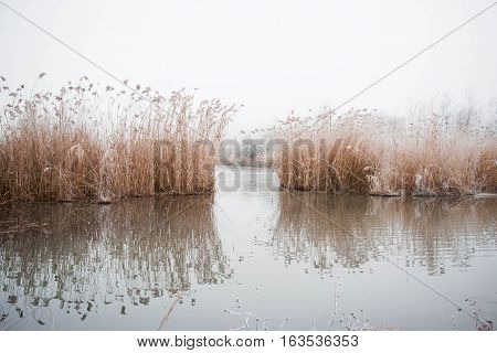 Water reflection silent in the sea 
wasser spiegelung