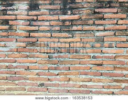 Texture of the background on my home.
