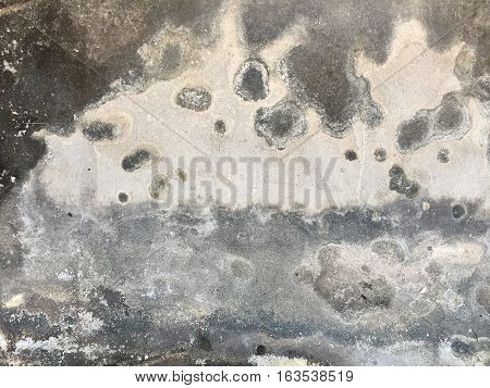 Texture of the background on my home.