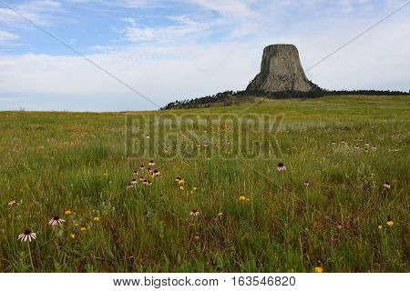 Devils Tower National Monument Wyoming with prairie forground