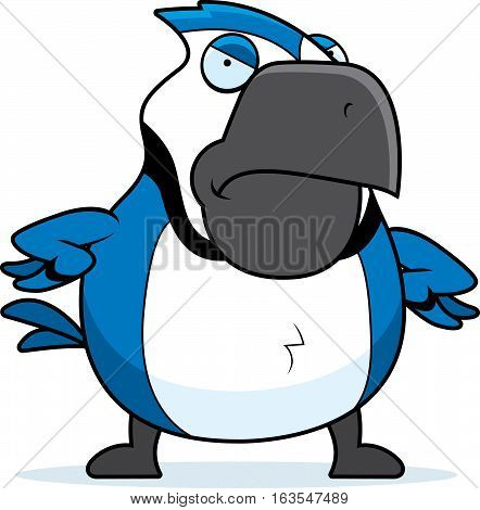 Cartoon Blue Jay Angry