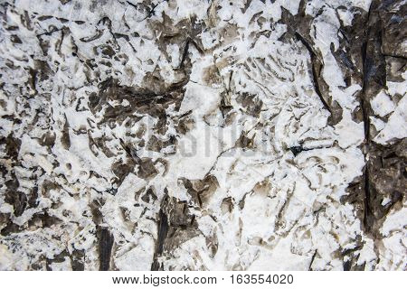textures. rock texture background surface. rock texture table surface top view. Granite rock texture background, Natural rock texture. Old rock texture or mosaic rock texture, rock texture. Surface of rock textures. Rock textures,