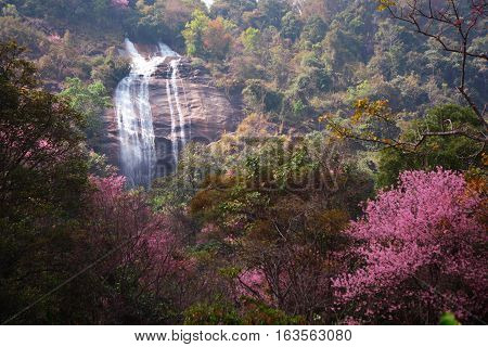 Siriphum waterfall at National park in North of Thailand. ** note select focus with shallow depth of field:ideal use for background.