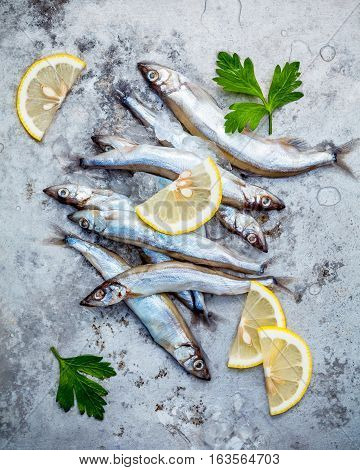 Fresh Catch Shishamo Fish Fully Eggs Flat Lay On Shabby Metal Background. Shishamo Fish Is Popular F