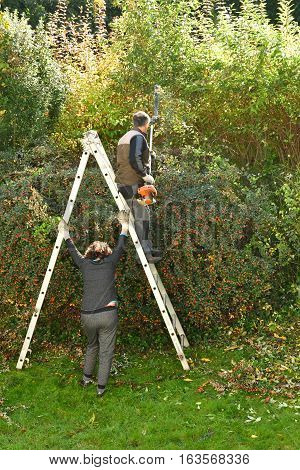 verneuil sur Seine France - november 3 2016 : a pruner in agarden