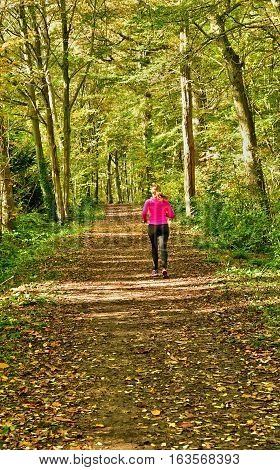 Verneuil sur Seine; France - october 30 2016 : jogger in the forest in the west of the city