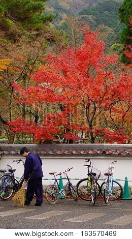 Landscape Of Japanese Garden At Autumn
