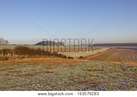 Frosty Wolds Landscape