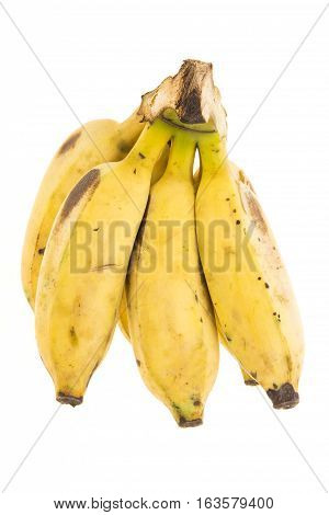 Cutting Of Bundle
