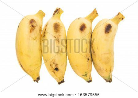 Four Yellow Bananas