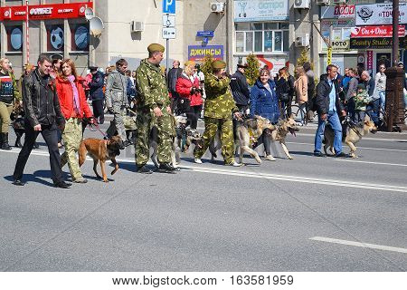 Cynologists with guard dogs participate in demonstration in honor of the Victory Day on May 9 2016. Tyumen Russia