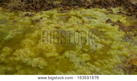 Salt texture inside Dallol volcanic crater in Danakil depression Afar Ethiopia