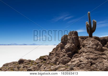 Viewpoint at Isla Pia Pia Salar de Uyuni Bolivia