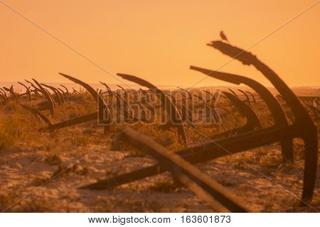 Europe Portugal Algarve Tavira Barril Beach Anchor