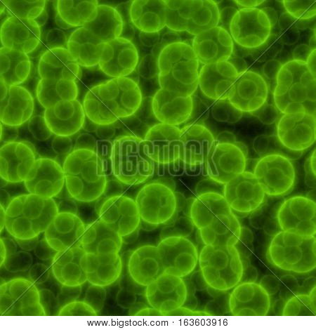 Green bacteria (stained by fluorescein ) on dark background