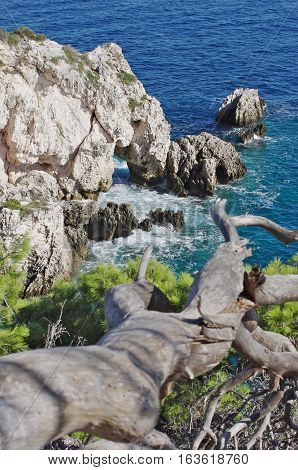Coastline Of The Tremiti, Remote Islands On Th Adriatic Sea.