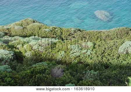 Coastline Of The Tremiti, Remote Islands On Th Adriatic Sea.