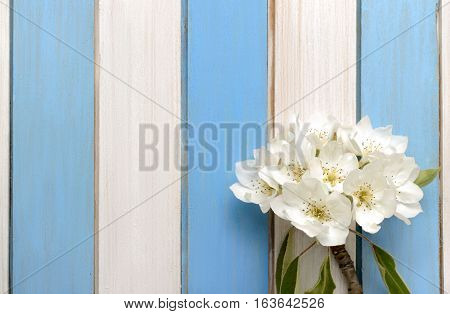 pear flowers and white and bluel wooden strips