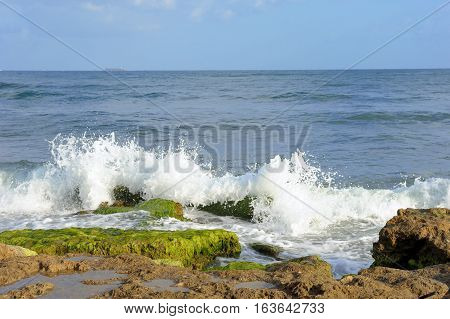 Mediterranean coast in southern Israel near the city of Ashkelon