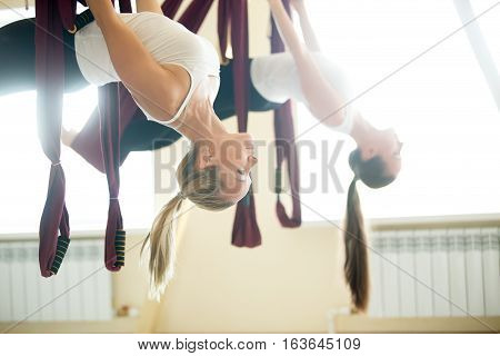 Group of two young beautiful yogi women doing aerial yoga practice in purple hammocks in fitness club. Attractive models working out. Backbend exercise in class. Variation of Locust pose, Salabhasana