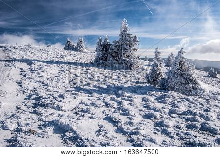 winter mountain meadow with snow, isolated hrubs and blue sky with clouds in Fischbacher Alpen mountains in Styria