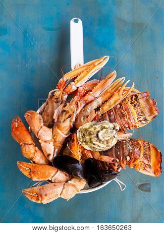 Fresh seafood catch of lobsters, crabs, and langostines on blue background