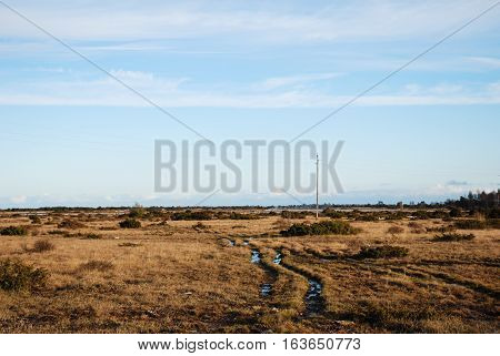 Wet tracks in a plain grassland The Great Alvar at the swedish island Oland