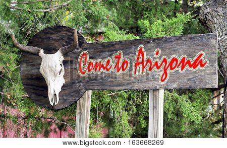 Come to Arizona sign with cow skull.
