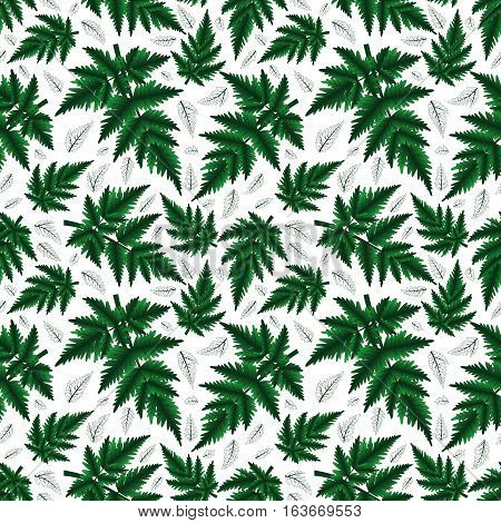 Illustration of seamless floral pattern with fern branches isolated