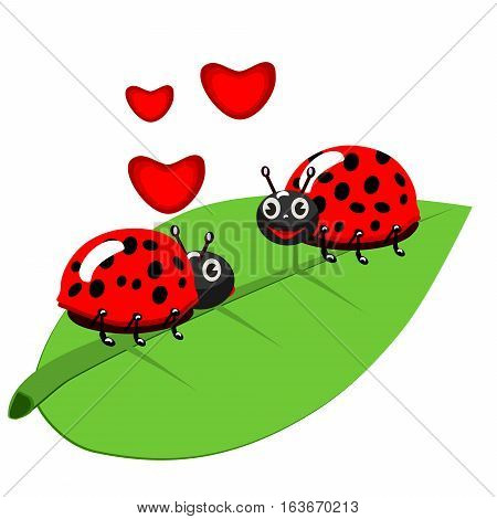 Ladybug On Leaf, Isolated On White Background, Vector Illustration