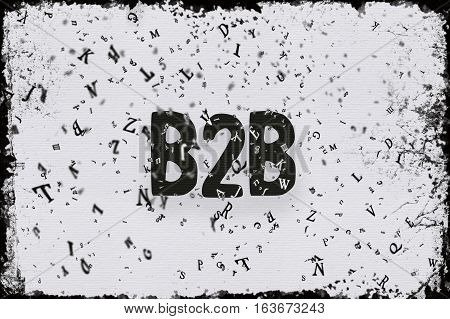 B2B, Web Development Technology, Design and Presentation